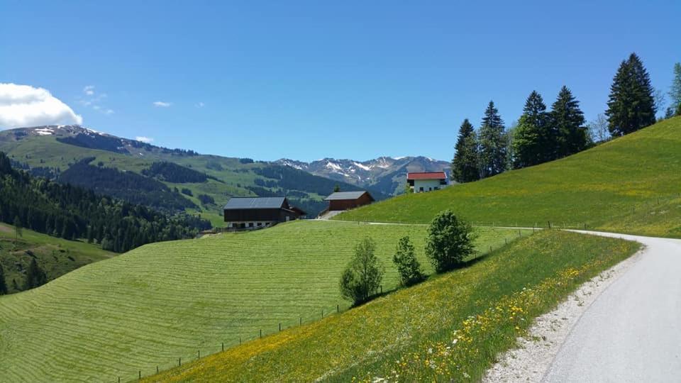 Haus Am Sonnberg Holiday home *